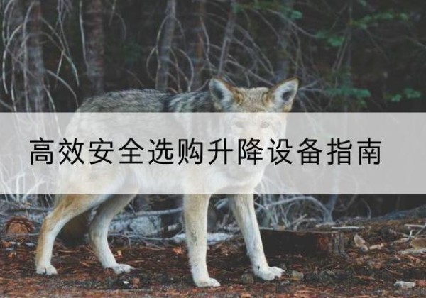 封开升降货梯厂家推荐-*安全选购升降设备指南
