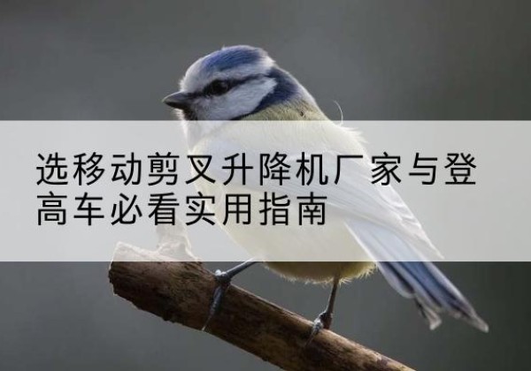 封开电动升降机厂家-选移动剪叉升降机厂家与登高车必看实用指南